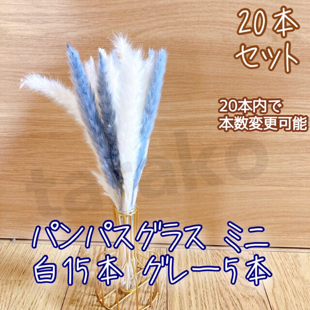 ミニ パンパスグラス ドライフラワー テールリード 白15本 グレー5本 ハンドメイドのフラワー/ガーデン(ドライフラワー)の商品写真