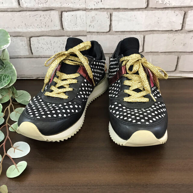 DOLCE&GABBANA - 【5900S】ドルチェ＆ガッパーナ ゴールドレース スニーカー サイズ36の通販 by Premo's