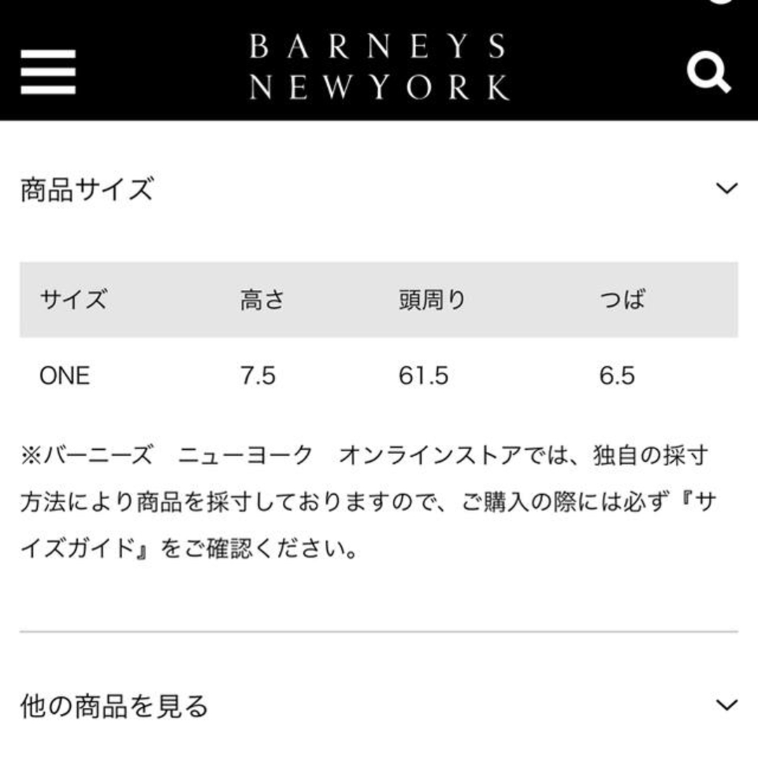 ACNE(アクネ)の【新品・未使用】ACNE（アクネストゥディオズ）バケットハット レディースの帽子(ハット)の商品写真