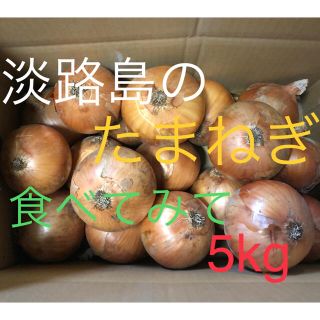 淡路島産　玉ねぎ　5kg (野菜)