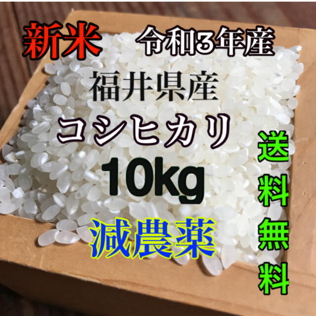 米/穀物　令和3年産　福井県産　新米コシヒカリ10キロ　減農薬
