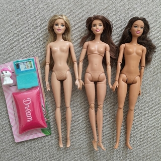 バービー(Barbie)の可動バービー3体セット+おまけ(ぬいぐるみ/人形)