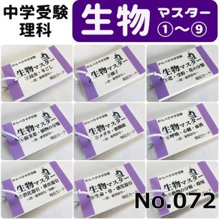 ❗️25日まで1名限定割引【100】中学受験　算数・国語・理科・社会　暗記カード