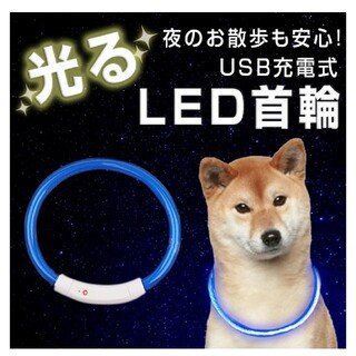 犬 首輪 ブルー　光る 猫 USB充電式 LED(趣味/スポーツ/実用)
