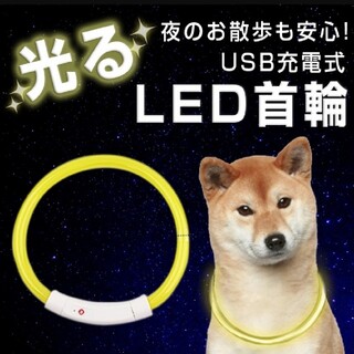犬 首輪 光る 猫 USB充電式 LED 小型犬 中型犬 大型犬(その他)