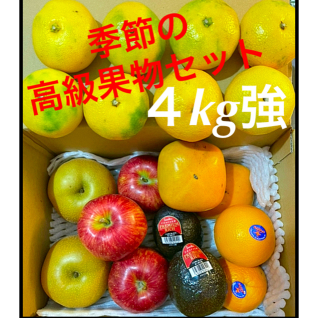 PREMIUM RICH アボカド　と　季節の高級果物セット 食品/飲料/酒の食品(フルーツ)の商品写真