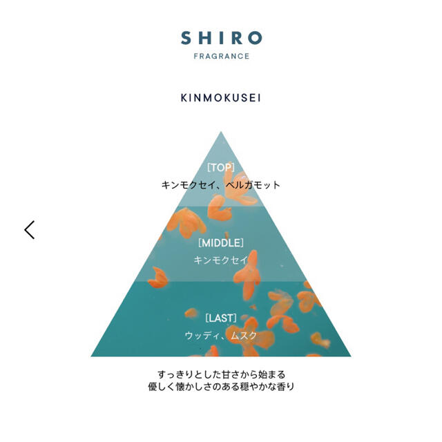 shiro(シロ)のSHIRO キンモクセイ　オードパルファン　金木犀 コスメ/美容の香水(香水(女性用))の商品写真
