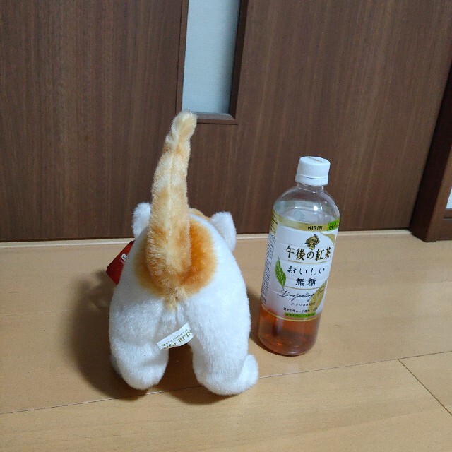 猫ちゃんぬいぐるみ エンタメ/ホビーのおもちゃ/ぬいぐるみ(ぬいぐるみ)の商品写真