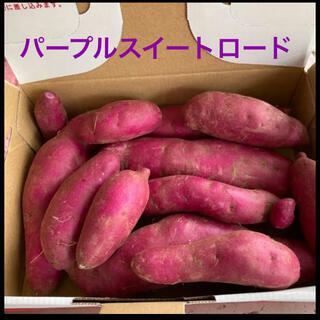 長野県産パープルスイートロード　1.2キロ(野菜)