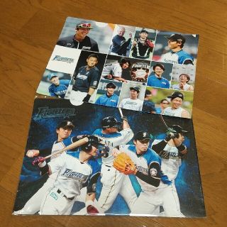 ホッカイドウニホンハムファイターズ(北海道日本ハムファイターズ)のファイターズオフィシャルファンクラブのクリアファイル2枚セット(スポーツ選手)