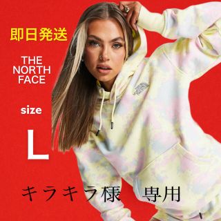 ザノースフェイス(THE NORTH FACE)の【THE NORTH FACE】ザ・ノースフェイス　パーカートレーナー　L(パーカー)