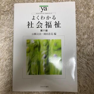 トウキョウショセキ(東京書籍)のよくわかる社会福祉 第１１版(人文/社会)