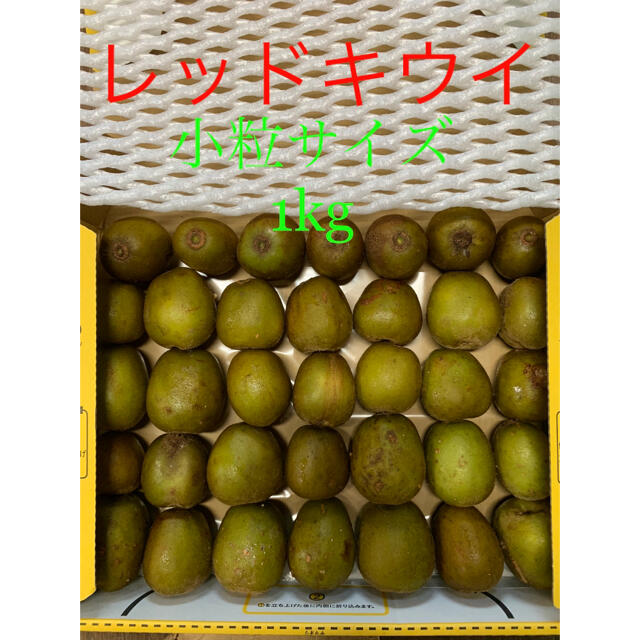 【無農薬】レインボーレッドキウイ☆小粒訳あり約1kg★未完熟品 食品/飲料/酒の食品(フルーツ)の商品写真