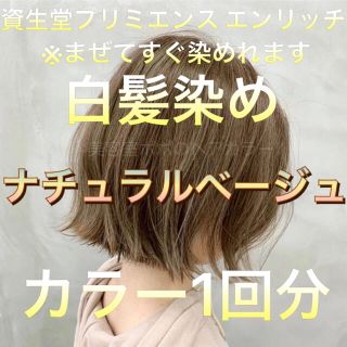 SHISEIDO (資生堂) - 美容室の白髪染め ナチュラルベージュ 1回分 の ...