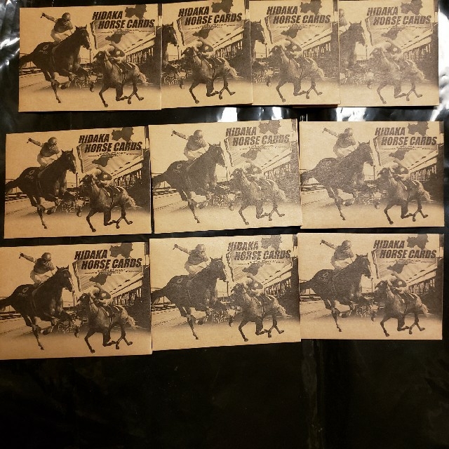 HIDAKA HORSE CARDS 日高ホースカード 競馬 トレカ 競走馬 エンタメ/ホビーのトレーディングカード(シングルカード)の商品写真