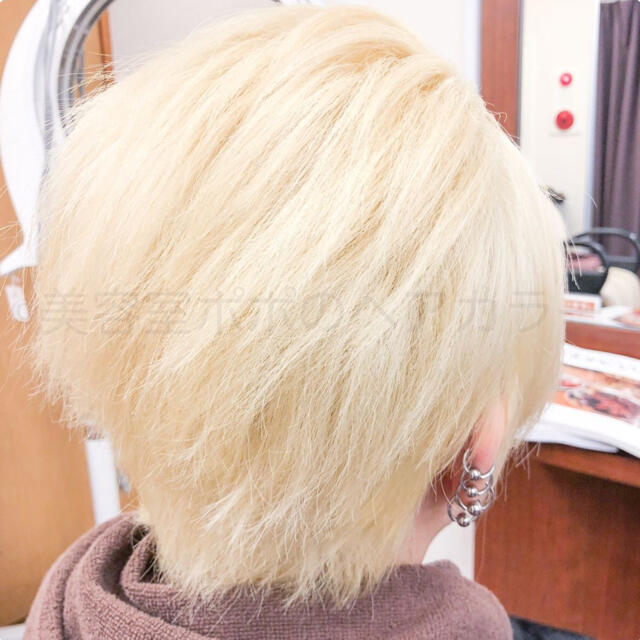 SHISEIDO (資生堂)(シセイドウ)の資生堂ブリーチマスター リタッチ・ショート用 ホワイトブリーチにも!  コスメ/美容のヘアケア/スタイリング(ブリーチ剤)の商品写真