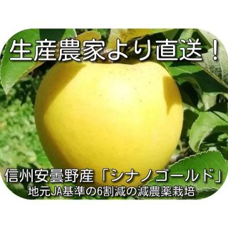 信州安曇野「シナノゴールド」3キロ家庭用　減農薬・除草剤不使用の安心りんご(フルーツ)