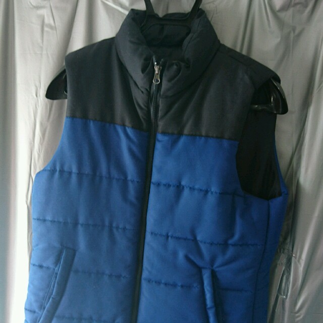 Dickies - Dickies ダウンベストの通販 by ゆういち's shop