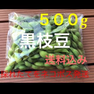 黒枝豆　採れたて　５００g(野菜)