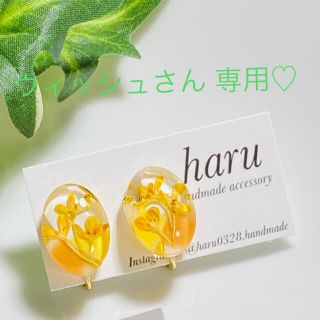 ウィッシュさん 専用♡(イヤリング)