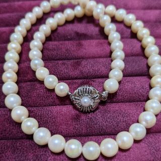 ジュエリーツツミ(JEWELRY TSUTSUMI)の本真珠のネックレス　フォーマルにも　TSHTSHMI　ツツミシルバー刻印(ネックレス)