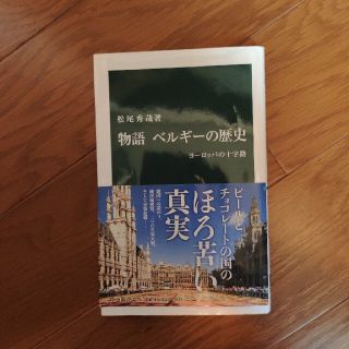 物語ベルギ－の歴史 ヨ－ロッパの十字路(文学/小説)