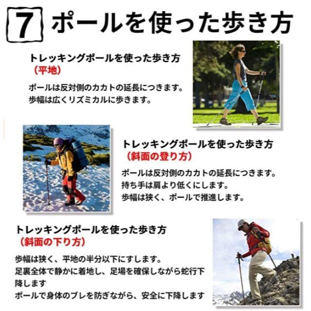 【パープル】ステッキ トレッキングポール 2本セット アルミニウム合金 登山用品 スポーツ/アウトドアのアウトドア(登山用品)の商品写真