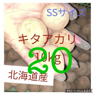 北海道産キタアカリss20kg(野菜)