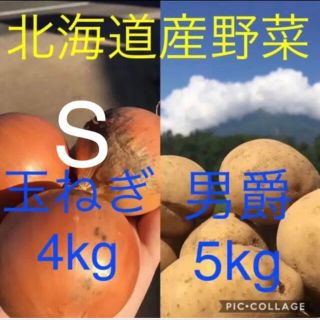 北海道産じゃがいも5kg玉ねぎs4kg(野菜)