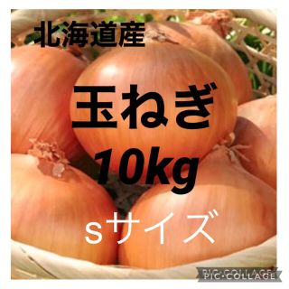 北海道産玉ねぎs 10kg(野菜)