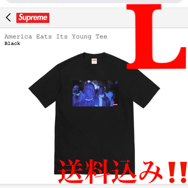 Supreme(シュプリーム)の【新品★送料込み‼️】America Eats Its Young Tee Ｌ メンズのトップス(Tシャツ/カットソー(半袖/袖なし))の商品写真