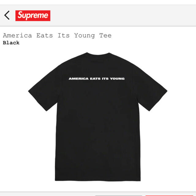 Supreme(シュプリーム)の【新品★送料込み‼️】America Eats Its Young Tee Ｌ メンズのトップス(Tシャツ/カットソー(半袖/袖なし))の商品写真