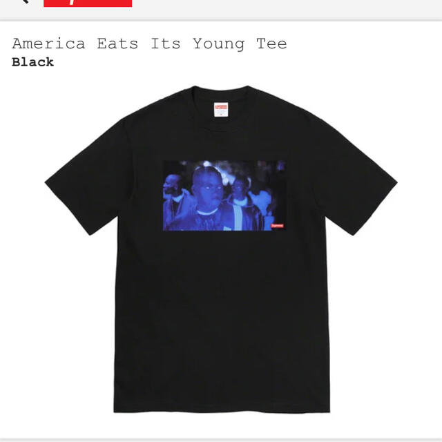 Supreme(シュプリーム)の【Mサイズ】America Eats Its Young Tee メンズのトップス(Tシャツ/カットソー(半袖/袖なし))の商品写真