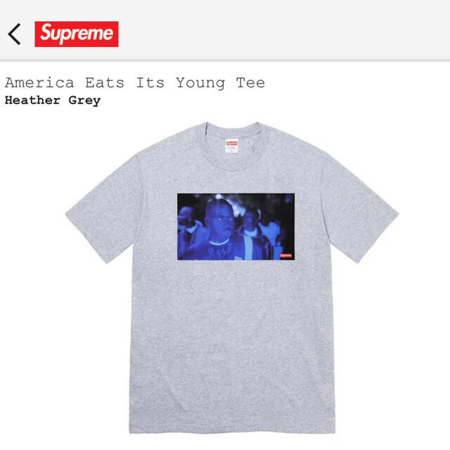Tシャツ/カットソー(半袖/袖なし)supreme America eats its young tee 黒L