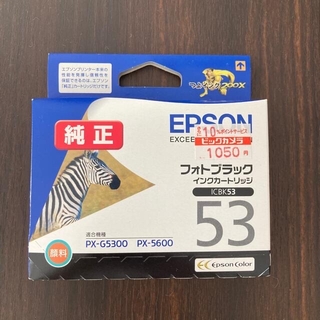 エプソン(EPSON)の専用　EPSON フォトブラック ICBK53 グレー　セット(その他)