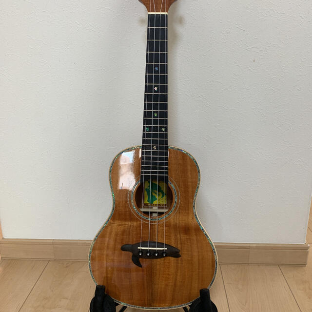 驚きの価格が実現!】 なつめアルダBig Ukulele Island テナーウクレレ