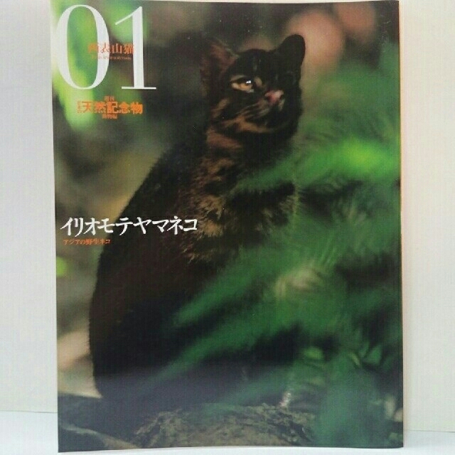 絶版◇◇週刊日本の天然記念物1 イリオモテヤマネコ◇◇西表島 絶版◇◇週刊日本の天然記念物1 イリオモテヤマネコ◇◇西表島