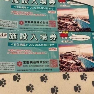 1枚　スパリゾートハワイアンズ　入場券　株主優待券(遊園地/テーマパーク)