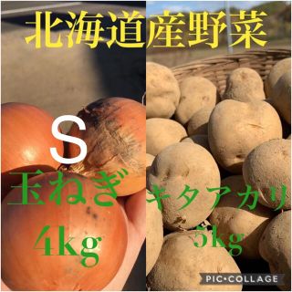 北海道産キタアカリ5kg玉ねぎ4kg(野菜)