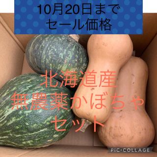 北海道産無農薬かぼちゃセット(野菜)