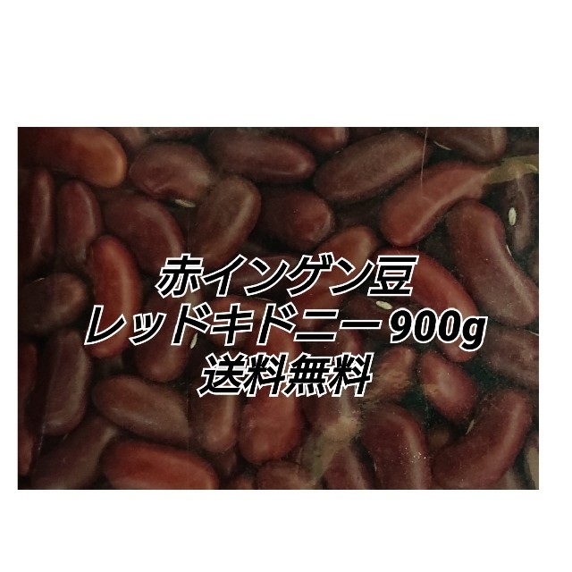 Kidney　レッドキドニー900g　Red　乾燥豆