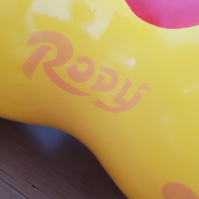 Rody(ロディ)のさきちょん様専用　Rody　ロディ キッズ/ベビー/マタニティのおもちゃ(知育玩具)の商品写真