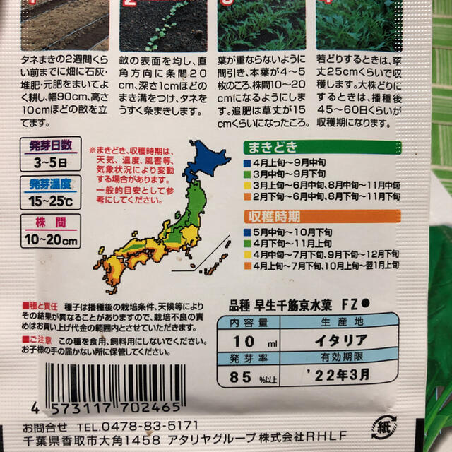 野菜の種 各100粒  サニーレタス サラダほうれん草 水菜 その他のその他(その他)の商品写真