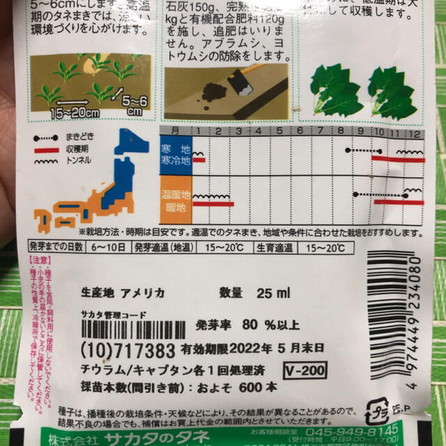 野菜の種 各100粒  サニーレタス サラダほうれん草 水菜 その他のその他(その他)の商品写真