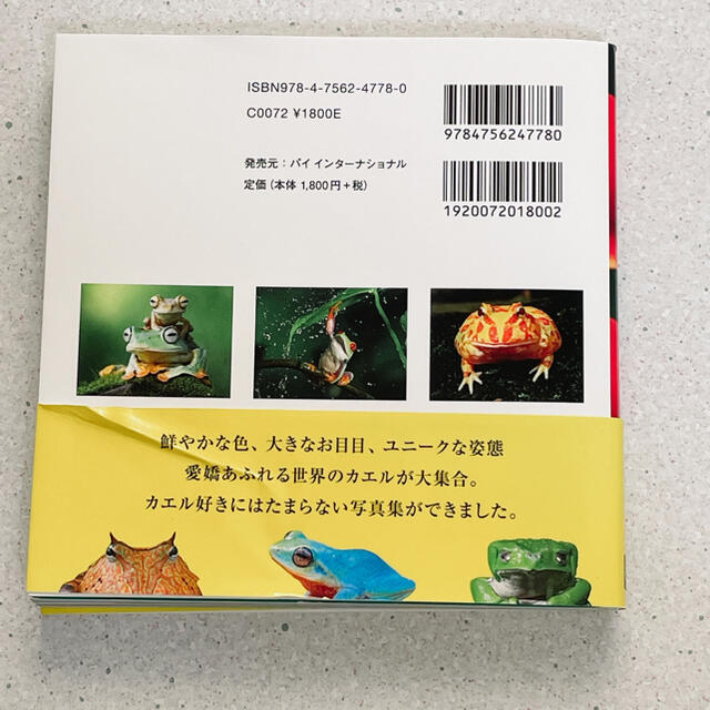 世界のキレイでかわいいカエル Ｆｒｏｇｓ エンタメ/ホビーの本(趣味/スポーツ/実用)の商品写真