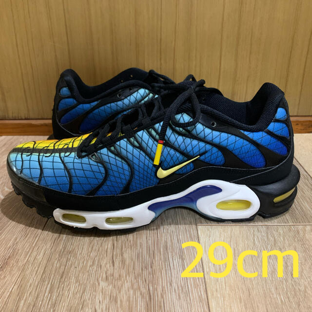 NIKE AIR MAX PLUS greedy 29cm