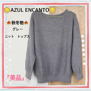 アズールバイマウジー(AZUL by moussy)のAZUL ENCANTアズールエンカント　グレー　レディース　ニット　Mサイズ(ニット/セーター)