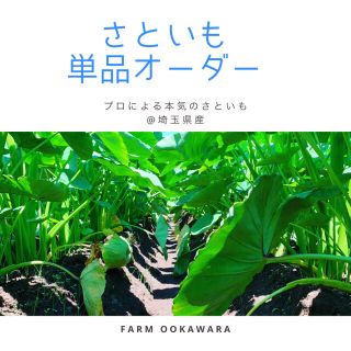 🌟るなちゃん専用🌟埼玉県・産地直送さといも(野菜)