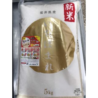 福井県産　新米　いちほまれ　5kg(米/穀物)