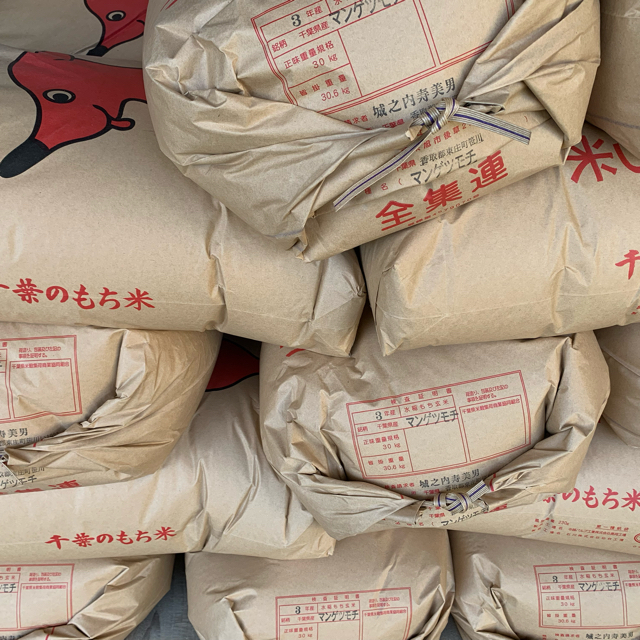 もち米 数量限定 令和3年産 美味保証 マンゲツモチ米 玄米30kg千葉県の